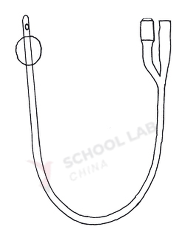 Catheter,Foley,CH10,ster,disp